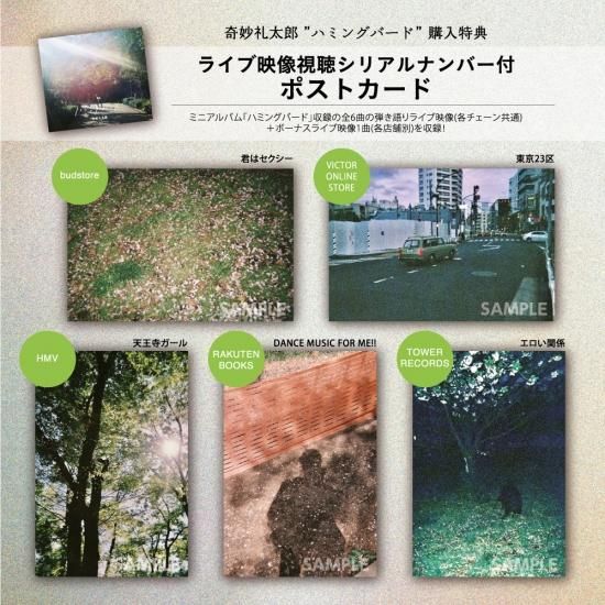 奇妙礼太郎 - ハミングバード - budstore