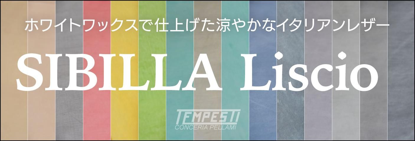 SIBILLA LISCIO / ӥꥹڡϤ