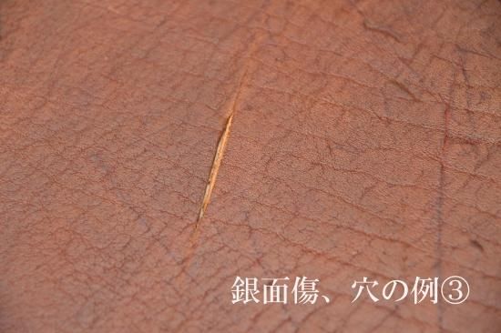 アンテロープレザー『KUDU / クードゥー/クーズー』#AUTUMN