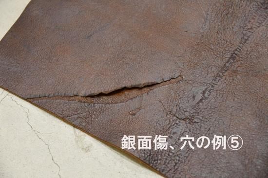 アンテロープレザー『KUDU / クードゥー/クーズー』#CABIN