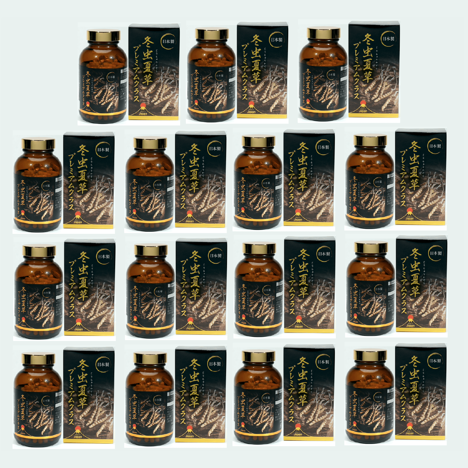 冬虫夏草プレミアムクラス 240 カプセル 10個セット | 日本健康ストア