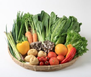 旬の野菜BOX　Mサイズ
