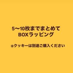 åԥ󥰥եBOX