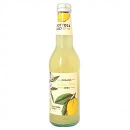 Bottega Baci ͭꥢ󥽡 355ml