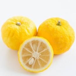 ͭͮҡ2