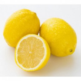 有機レモン　10kg