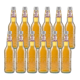 GALVANINA ͭꥢ󥸥󥸥㡼 355ml1Ȣ12