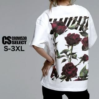 V  T  ⡼ɷ  T  åȥ ǥ ӥåץ Х   ȥ饤 ֥ ѥ 饪 T   Ⱦ