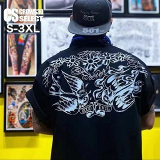 V  T  饪  T  åȥ ǥ ӥåץ ǥӥ  ֥ å  饪 T   Ⱦµ T