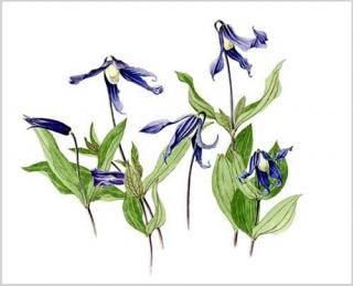 玉村豊男　サンジェルマン・デ・プレ駅のポスト　シルクスクリーン　ジクレー 玉村豊男 サンジェルマン・デ・プレ駅のポスト シルクスクリーン