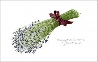 玉村豊男　水仙　版画　ジクレー　大型サイズ　額装品 玉村豊男 水仙 版画 ジクレー 大型サイズ 額装品 Yahoo