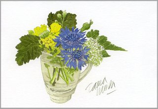 ポストカード「エスプレッソグラスの小さな花」