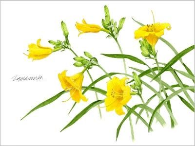 版画　シクラメン 中島千波 シクラメン | 絵画など美術品の販売と買取 | 東京