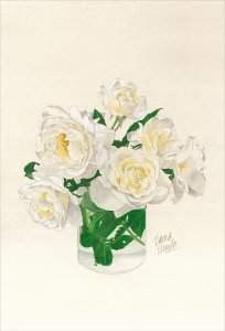 ポストカード「ガラス器の白いバラ」