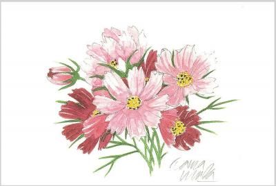 ポストカード「真紅のバラ」 - ヴィラデストワイナリーオンラインショップ