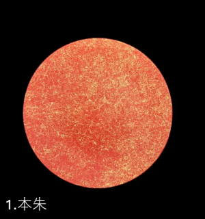 եåȥץ졼(D)ʥޥåȻž夲ˡ9