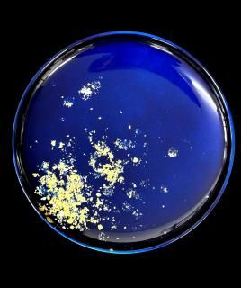 ֥륦ץ졼ȡʶˡ2ˡDouble- walled plate, Ancient (gold leaf) (two colours)