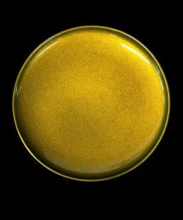 ֥륦ץ졼ȡޥ硡꡼Double- walled plate Majo green