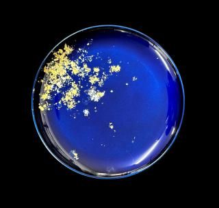 ץ졼ȡʶˡ2ˡPlate, Ancient (gold leaf) (2 colours)