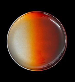 ץ졼ȡǡ󡡥֥饦Plate, Gradient brown