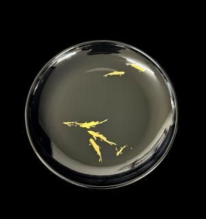 ץ졼ȡ⡡񡡼Plate, Gold-inked Carp jet black