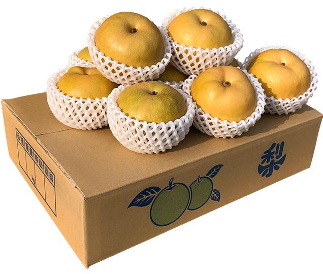 ¹¬¿å 2.5Ô(½¨ÉÊ / 5-6¶Ì)