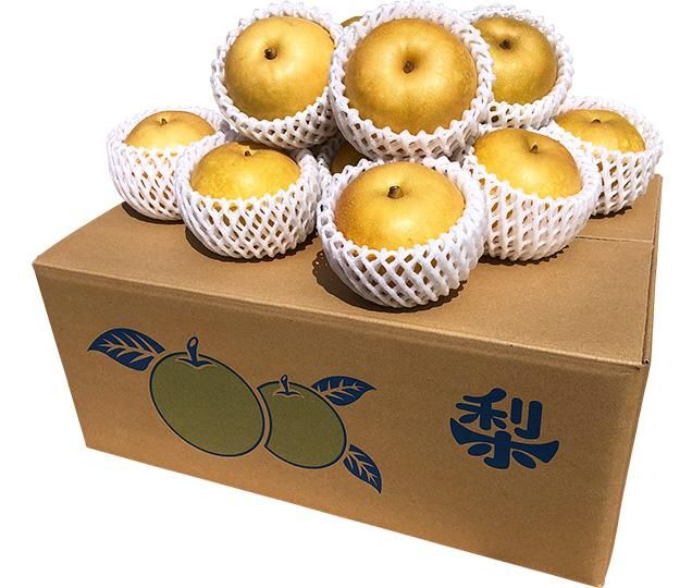 Ë¿å 5Ô(½¨ÉÊ / 14-16¶Ì)