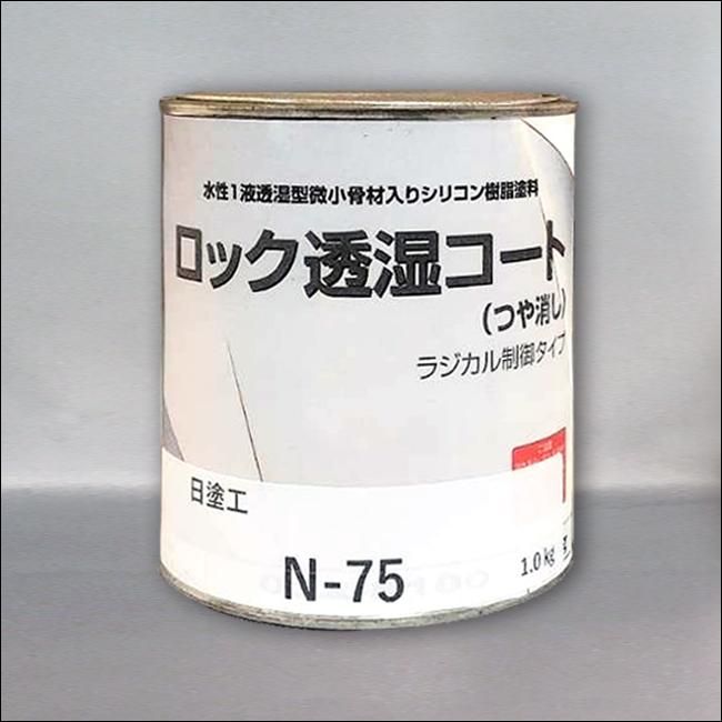 ʲ