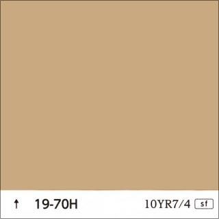 ɹ19-70H