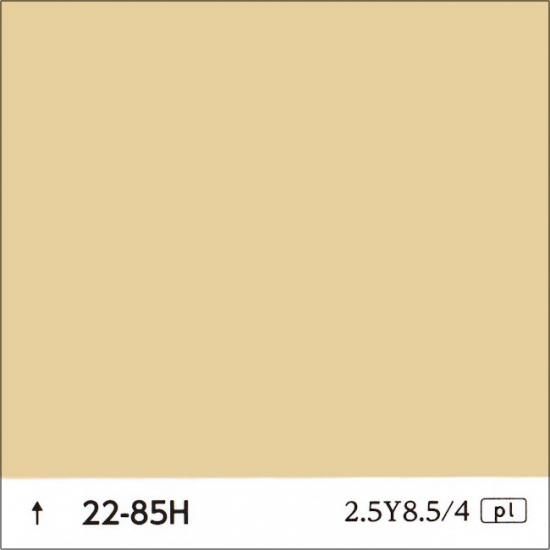 日塗工　22-85H　淡彩 - ロックペイントの塗料の調色・見本合わせの通販なら【調色一番】