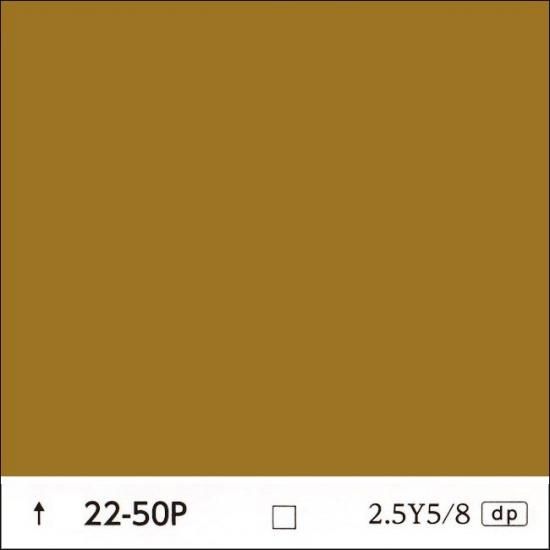 色確認用 日塗工 22-50P 黄・オレンジ濃彩 - ロックペイントの塗料の調色・見本