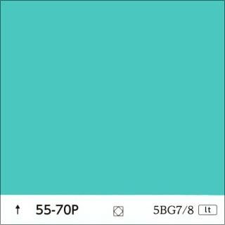 ɹ55-70Pġǻ