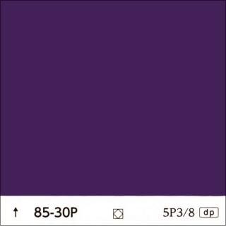 ɹ85-30P֡ǻ