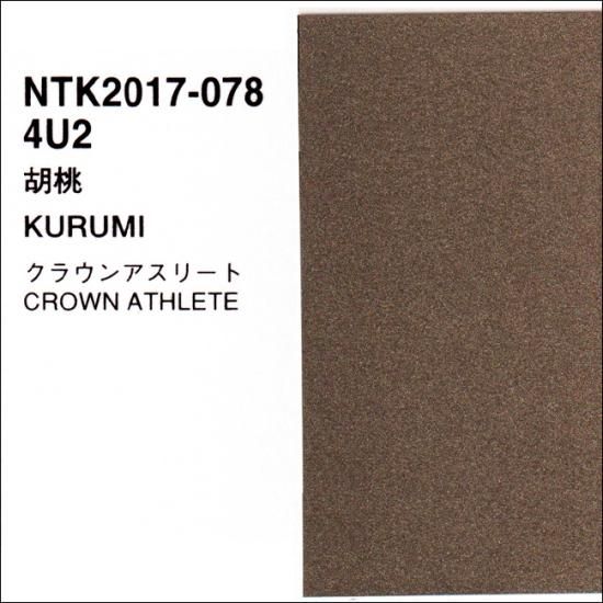 廃盤カラーチップ TOYO 廃盤カラーチップ TOYO