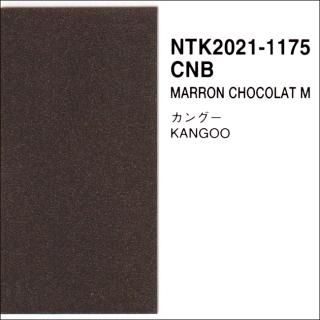 ΡCNBץåĴʡʥʡ䡼աåʤC