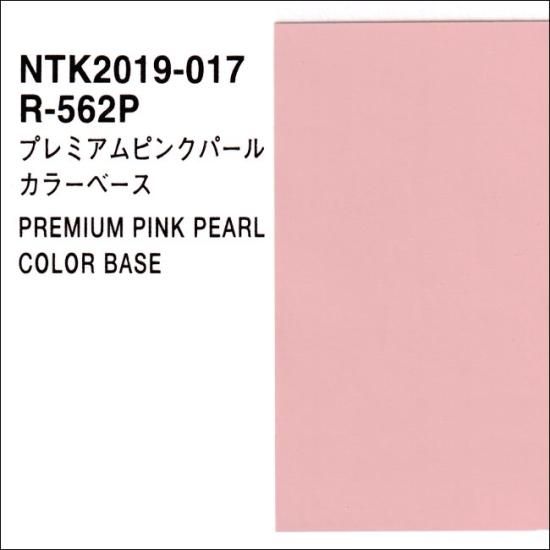 ロックプラサフクライマックス（ミディアムグレー）硬化剤セット