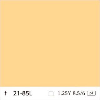 ɹ21-85Lø