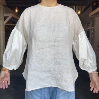 blue willow<br>ͥµХ롼֥饦