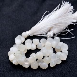 ʥۥ磻ȥࡼ󥹥ȡեåƥɥ֥ꥪåȺ6-6-6mm