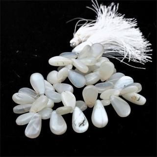 ۥ磻ȥࡼ󥹥ȡ󥹥ࡼ֥ꥪåȺ14-9-5mm
