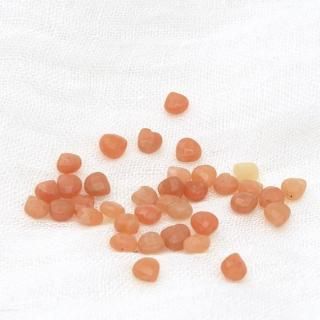 󥸥٥եåƥɥ֥ꥪåȺ6-6-4mm