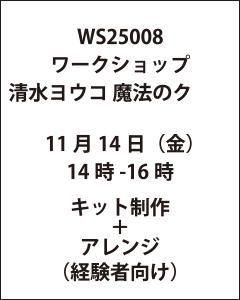 ワークショップ清水ヨウコ 魔法のクラス 11月14日(金)14時-16時(経験者向け)