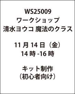 ワークショップ清水ヨウコ 魔法のクラス 11月14日(金)14時-16時(初心者向け)