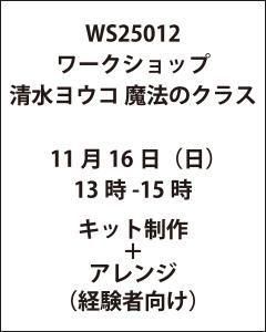 ワークショップ清水ヨウコ 魔法のクラス 11月16日(日)13時-15時(経験者向け)