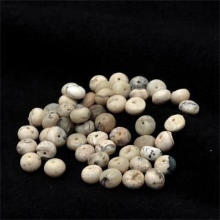 եꥫ󥪥ѡ륹ࡼ饦ǥ8-8-5mm