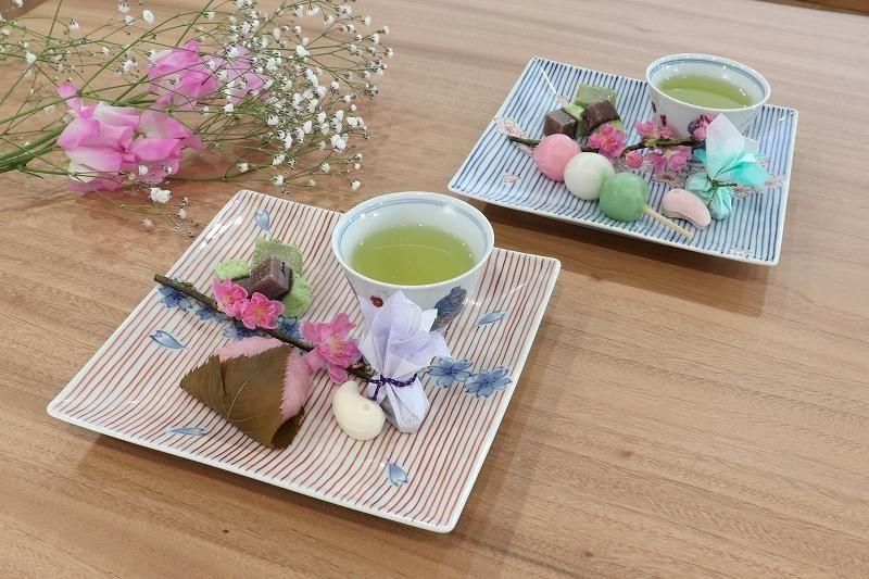 そうた窯 染錦赤十草桜 6寸正角皿