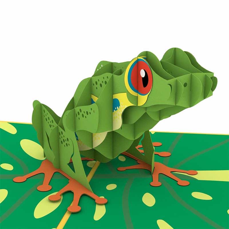 Red-Eyed Tree Frog 3D card<br>ִ㥫