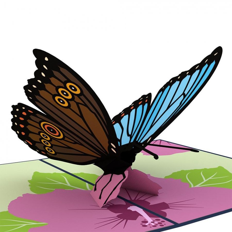 Blue Morpho Butterfly 3D card<br>֥롼ե祦