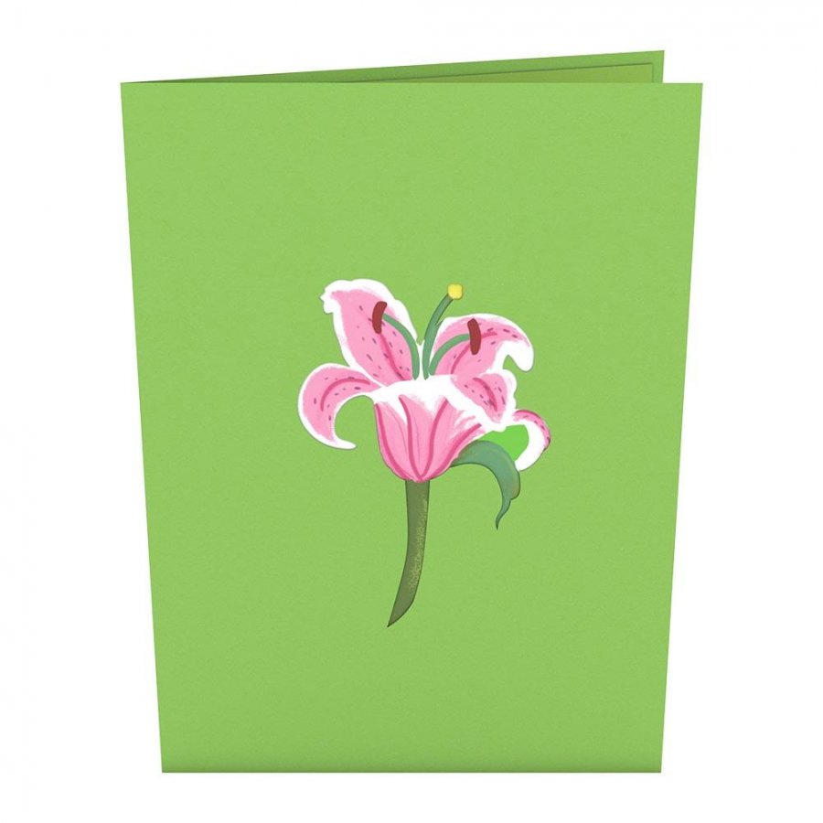 ユリ 百合 の花のポップアップカード Nisshodo Greeting