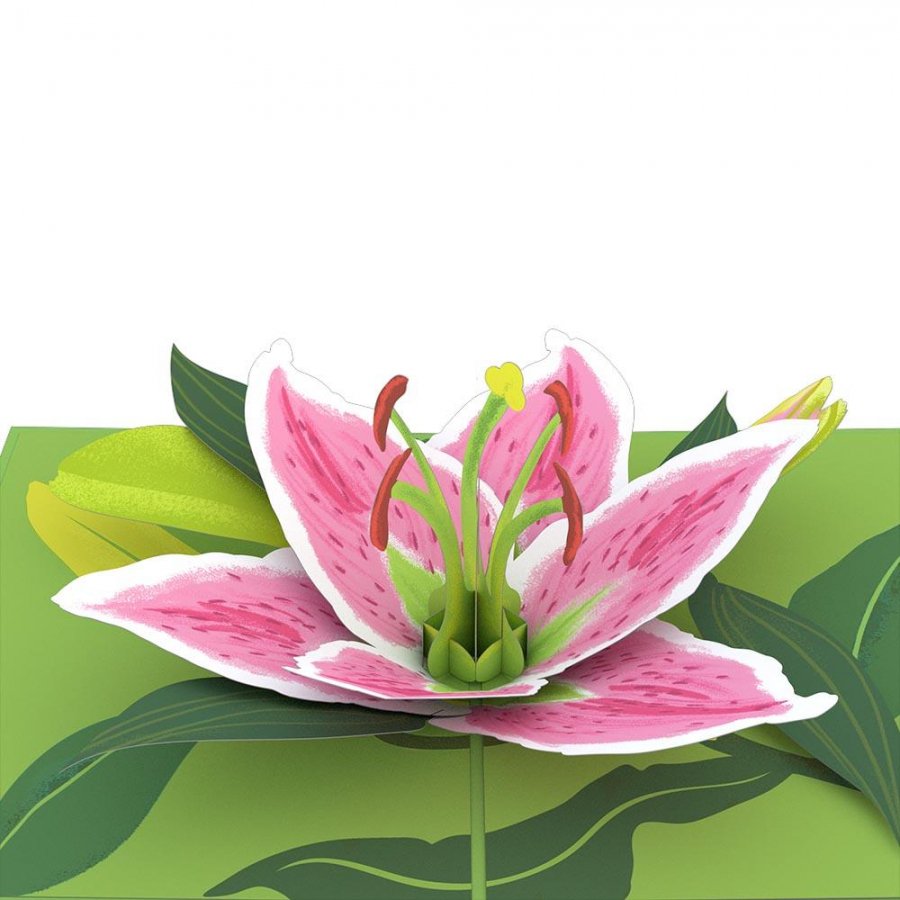 Lily Bloom 3D card<br>(ɴ)β